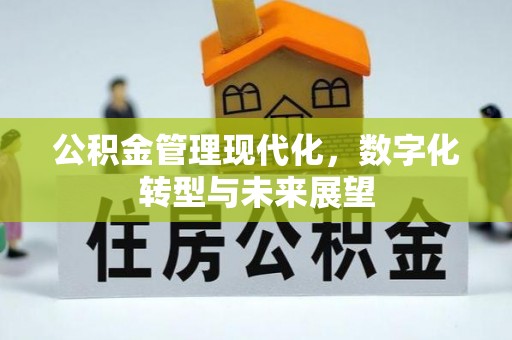 盘山公积金管理现代化，数字化转型与未来展望