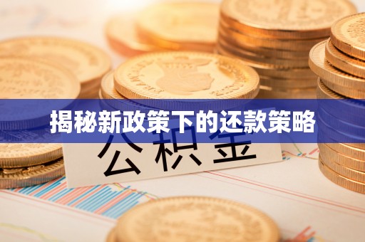 盘山揭秘新政策下的还款策略