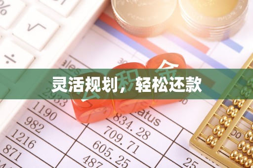 盘山灵活规划，轻松还款