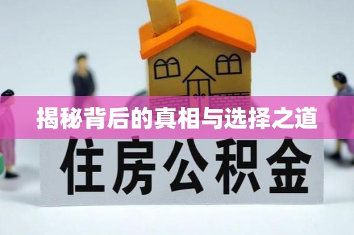 盘山揭秘背后的真相与选择之道