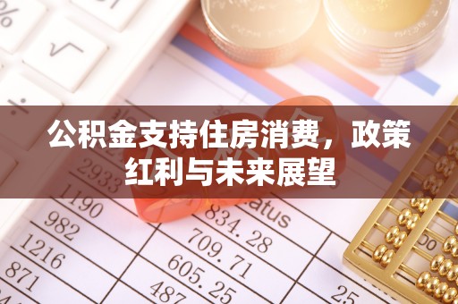 盘山公积金支持住房消费，政策红利与未来展望