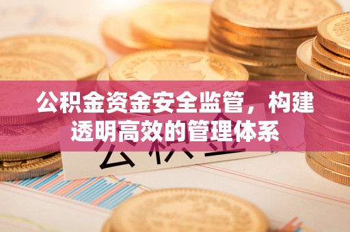 盘山公积金资金安全监管，构建透明高效的管理体系