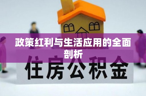 盘山政策红利与生活应用的全面剖析