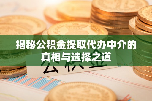 盘山揭秘公积金提取代办中介的真相与选择之道