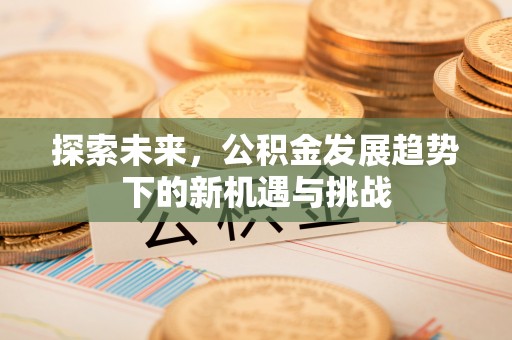 盘山探索未来，公积金发展趋势下的新机遇与挑战