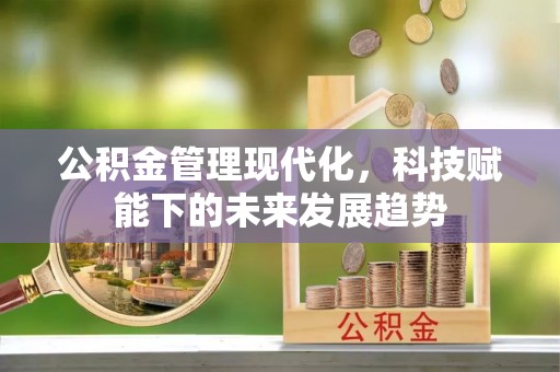 盘山公积金管理现代化，科技赋能下的未来发展趋势