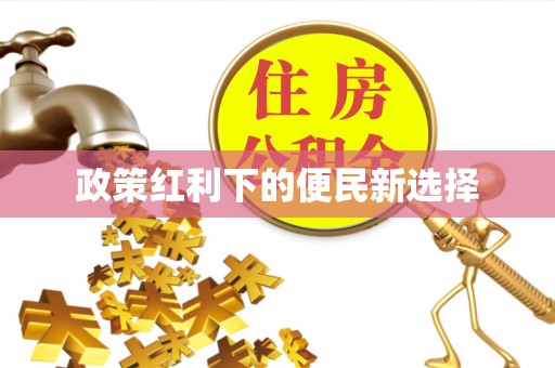 盘山政策红利下的便民新选择