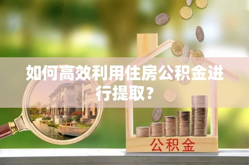 盘山如何高效利用住房公积金进行提取？